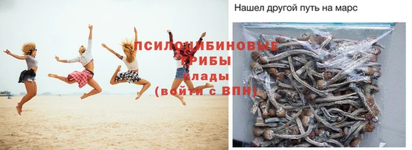 индика Заволжск