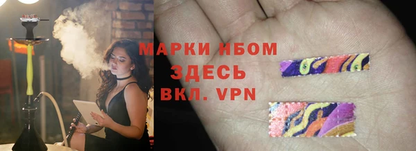 мет Алексин