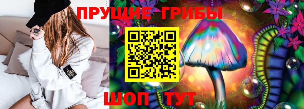 Псилоцибиновые грибы мухоморы  Галлюциногенные грибы мицелий  Коряжма  Вход с VPN 