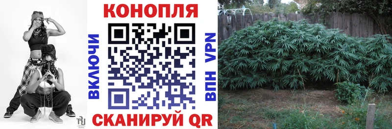 Канабис Amnesia  Коряжма 